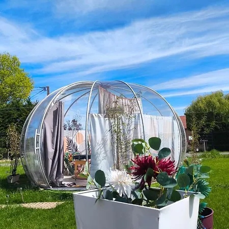 Cocoon Reflex'ô