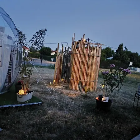 Cocoon Reflex'ô